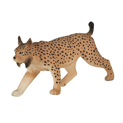 Mojo iberian lynx wild zoo - .mojo,
