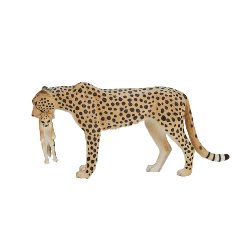 Mojo cheetah cub - &,