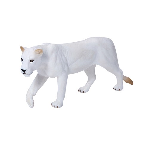White lioness wild zoo animals - white,