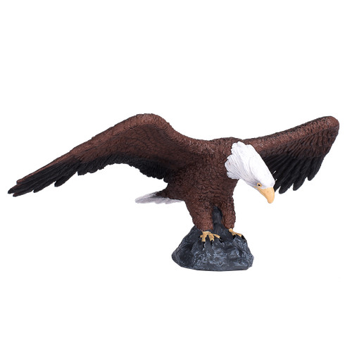 Mojo american bald eagle wild - bald,