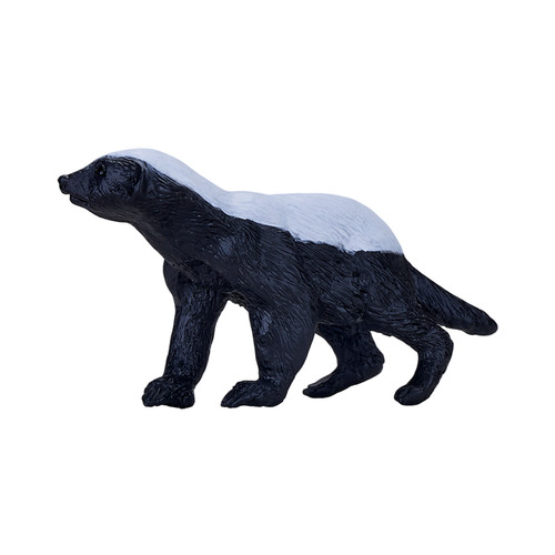 Honey badger wild - honey, animals