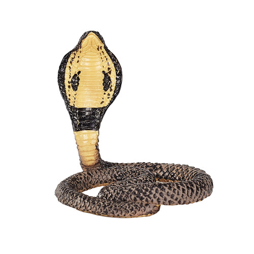 King cobra wild zoo animals - king,