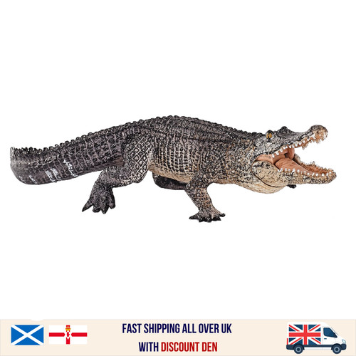 High quality alligator - high,