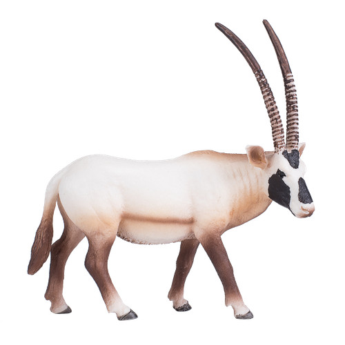Mojo arabian oryx wild - arabian,