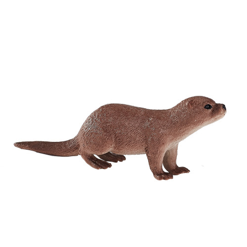 Mojo common otter wild - common,