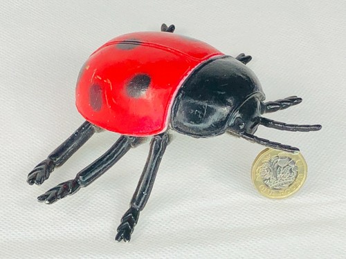 Ladybird lady bird insect toy - ladybird,