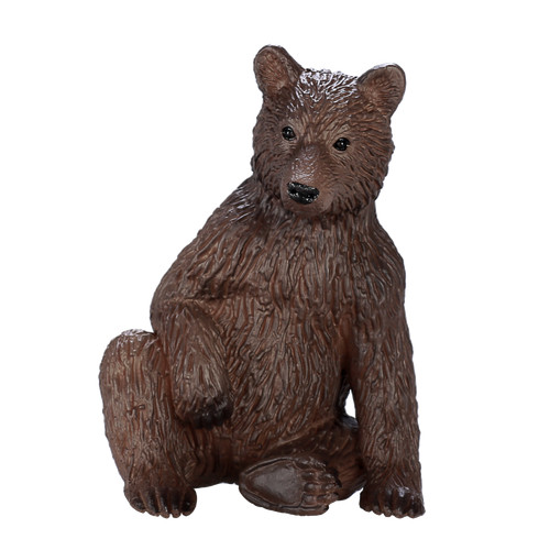 Mojo grizzly bear cub - cub, wild