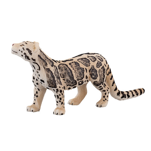Clouded leopard wild zoo - wild,