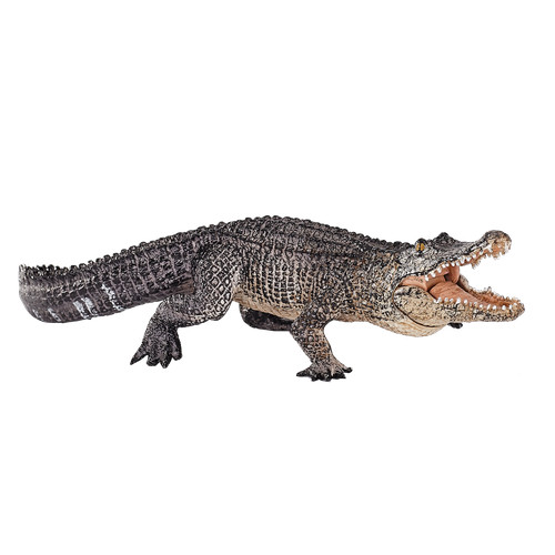 Mojo alligator moving - alligator,