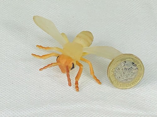 Bee wasp fly - fly, insect