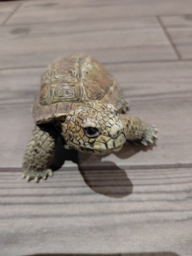 Aaa tortoise figure toy - figure,