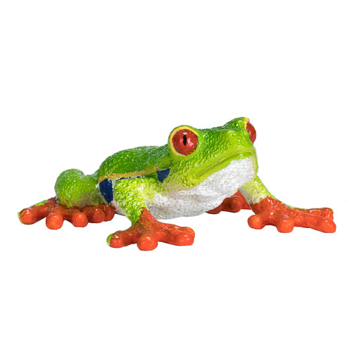 Red eyed tree frog - red-eyed,