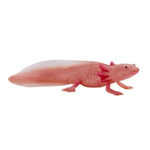 Mojo axolotl wild - mojo,