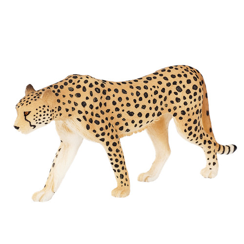 Mojo cheetah wild - wild, animals