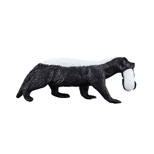 Mojo honey badger cub - honey,