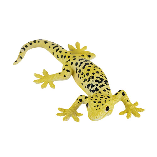 Leopard gecko wild - gecko, animal