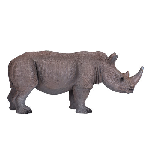 White rhinoceros wild - white,