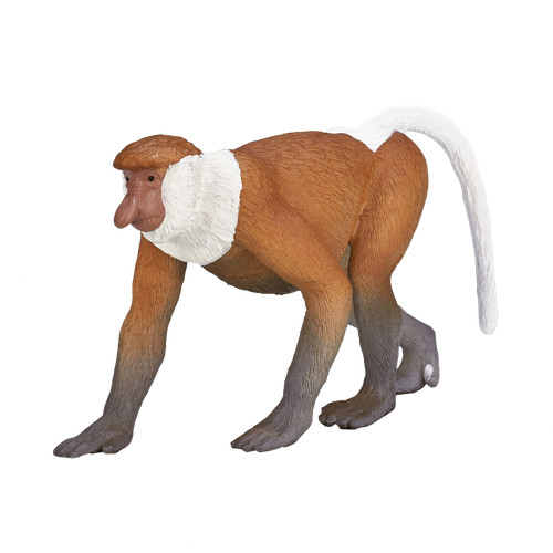 Mojo proboscis monkey wild - mojo,