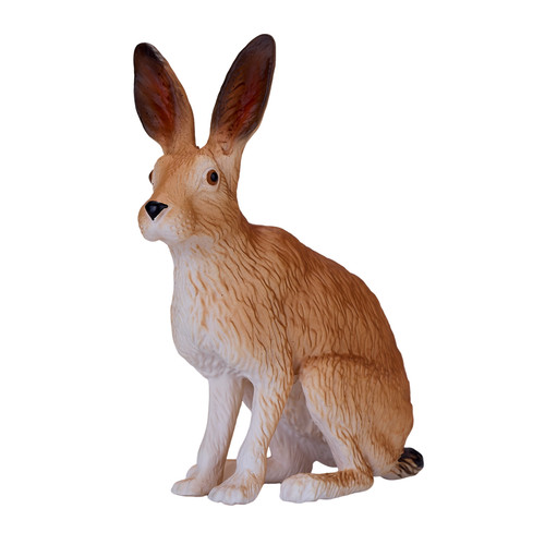 Mojo european hare - hare, wild