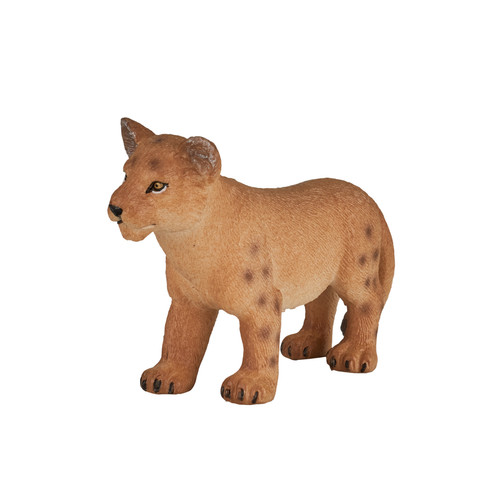 Lion cub wild - lion, play