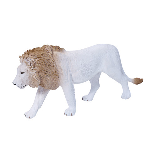 Male white lion wild zoo - lion,