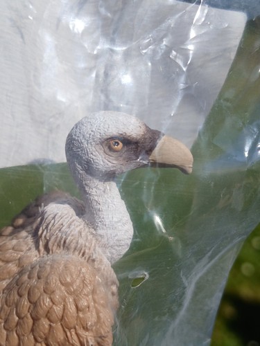 Schleich vulture plastic toy - vulture,