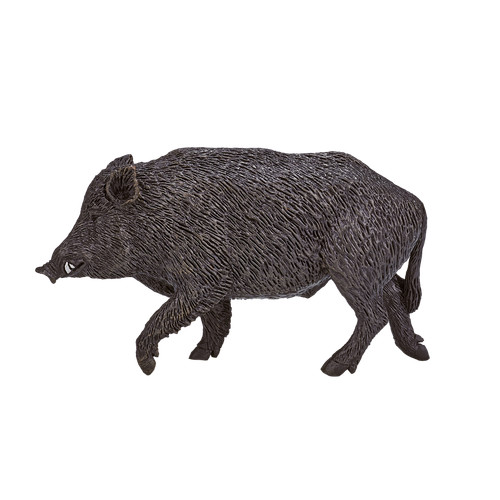 Mojo wild boar - wild, zoo