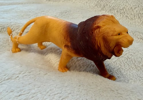 African lion jungle - lion,