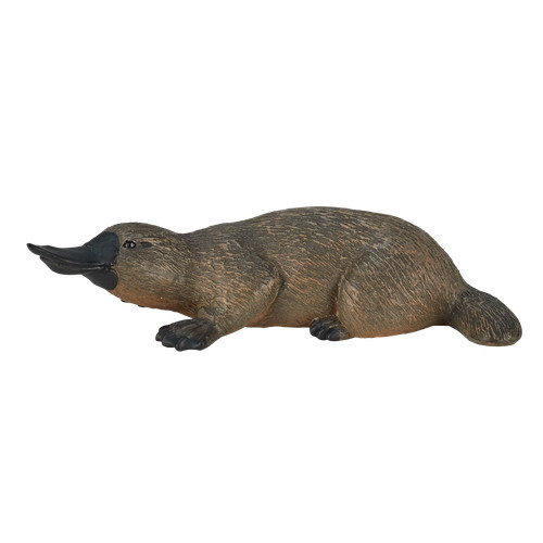 Mojo duck billed platypus - .mojo,
