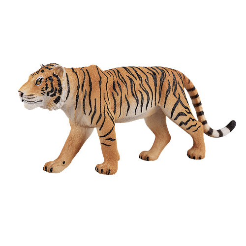 Mojo bengal tiger wild - mojo, zoo