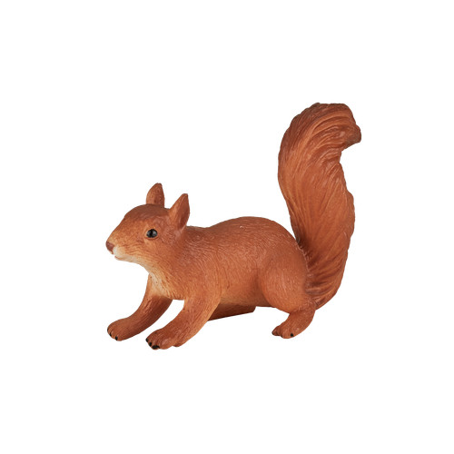 Mojo red squirrel wild - red,