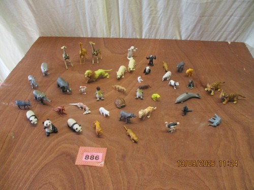 Collection zoo safari - collection, of