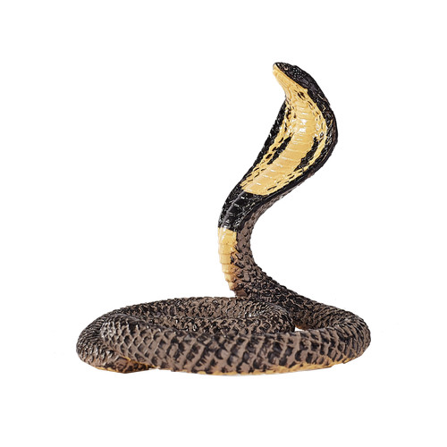Mojo king cobra - cobra, wild