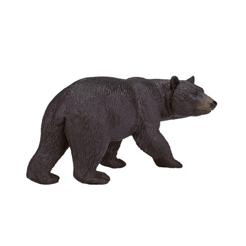 Mojo black bear - black, wild