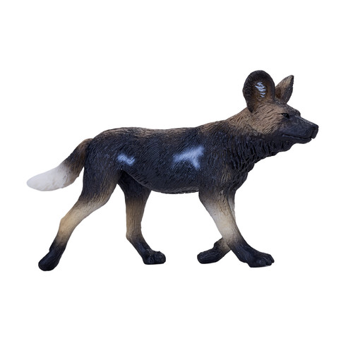 Mojo african painted dog - dog, wild