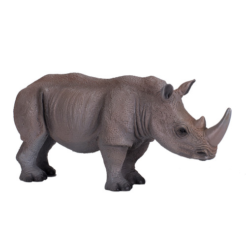 Mojo white rhinoceros wild zoo - rhinoceros,