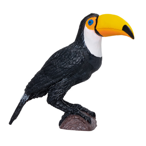 Mojo toucan wild zoo - wild, animals