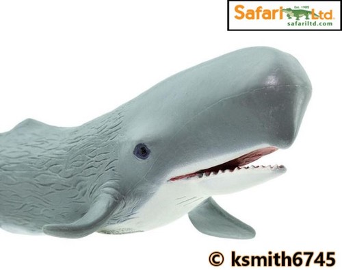 Safari ltd sperm - ltd,