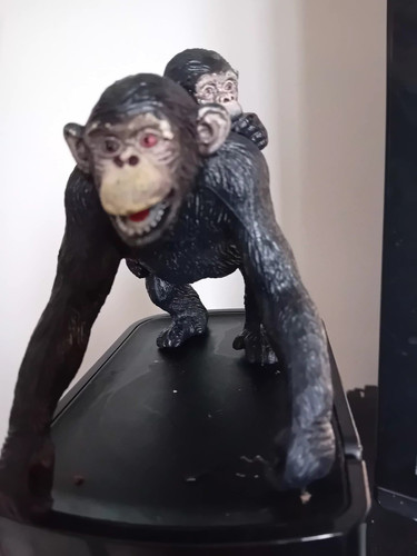Chimpanzee with baby wild zoo - chimpanzee,