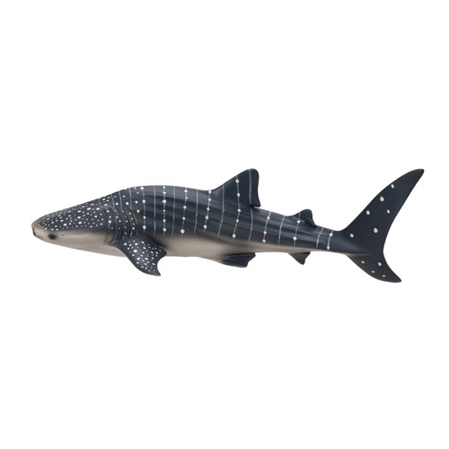 Mojo whale shark - whale, zoo