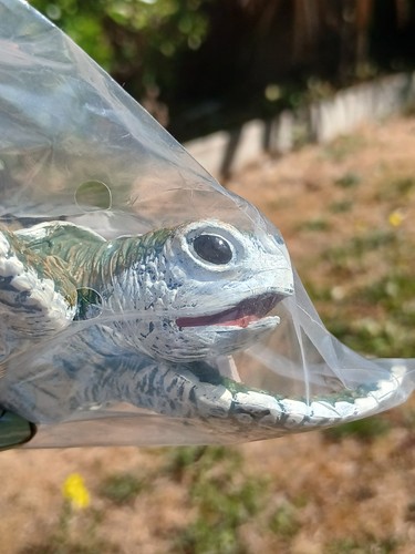 Safari ltd ridley turtle - safari,