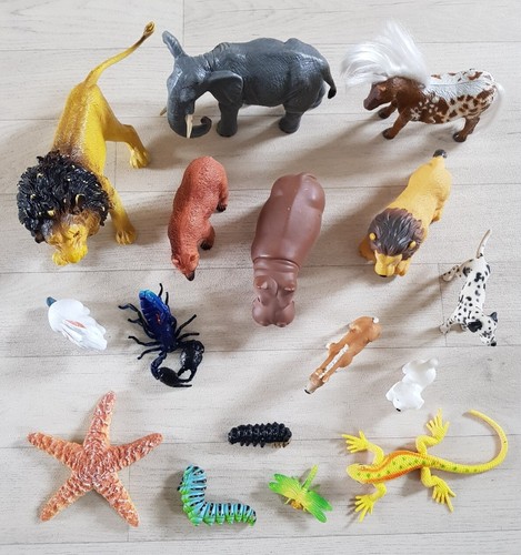 Animals insects scorpion - animals,