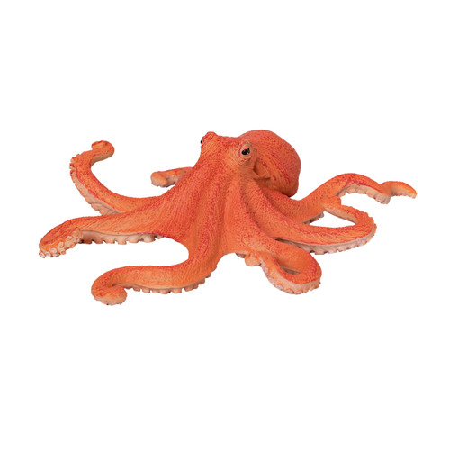 Mojo octopus wild zoo - zoo, animals