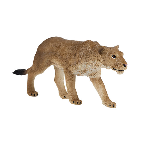 Lioness wild zoo animals - animals, play