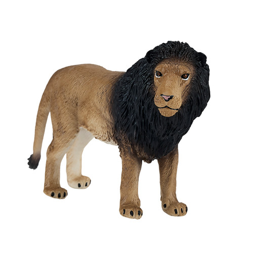 Mojo african lion - mojo,