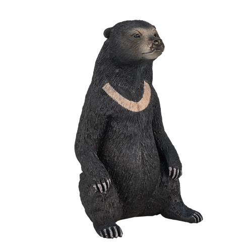Mojo sun bear wild - mojo,