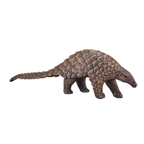 Mojo indian pangolin - .mojo, zoo