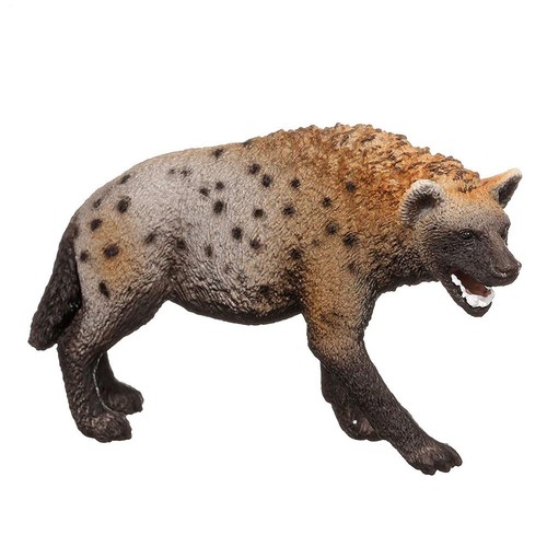 Hyaena figure wild - zoo, animal