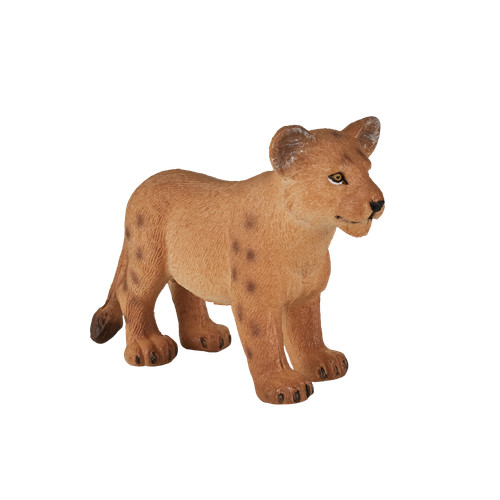 Mojo lion cub wild zoo - cub,