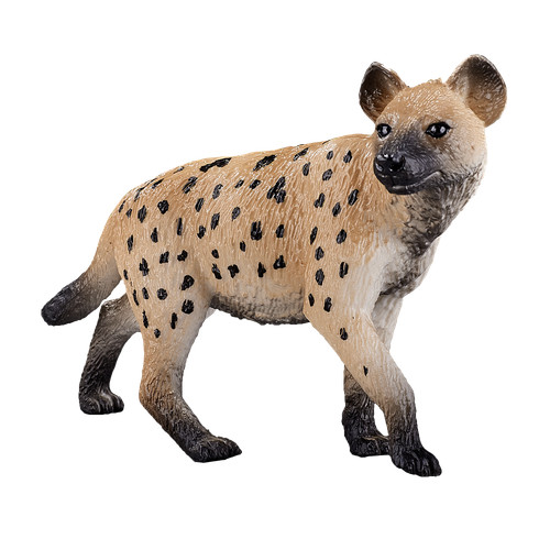 Mojo hyena wild - hyena, zoo